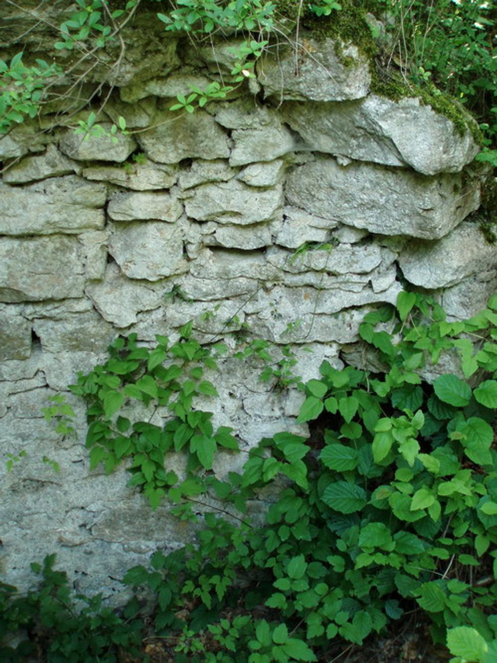 Veža (vnútrajšok prízemia)