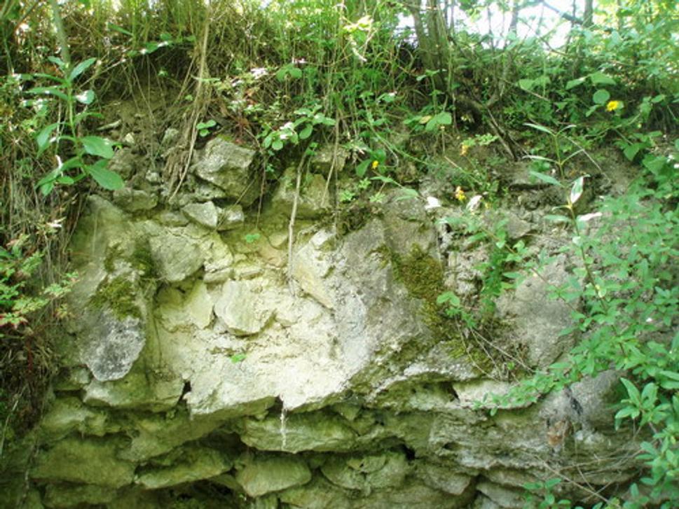 Veža (schodisková komôrka)