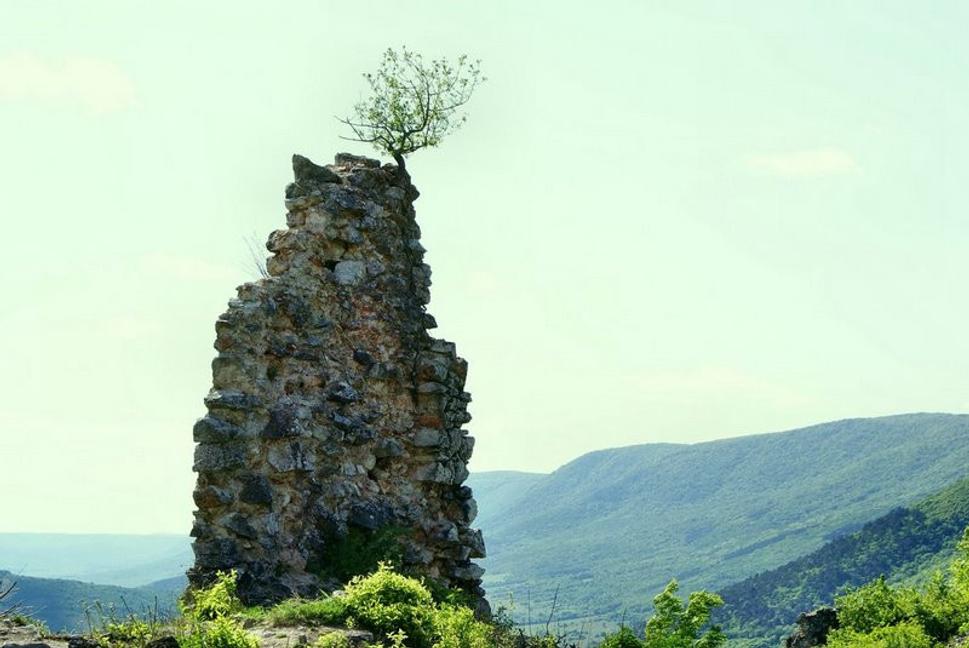 Obrázok blogu