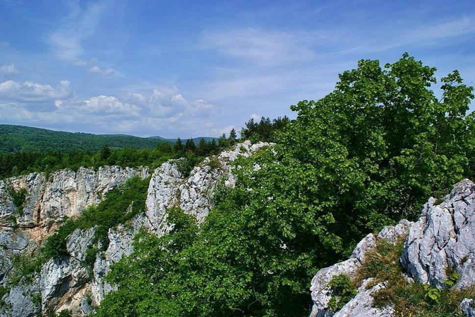 Obrázok blogu