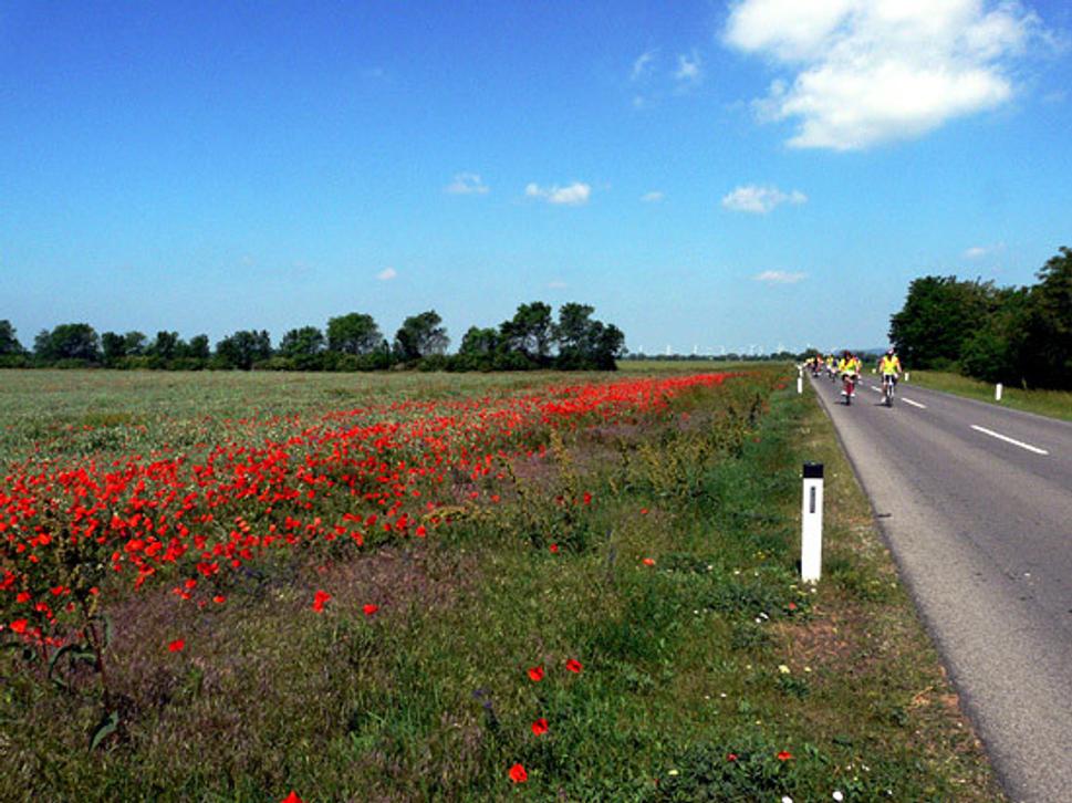 Obrázok blogu