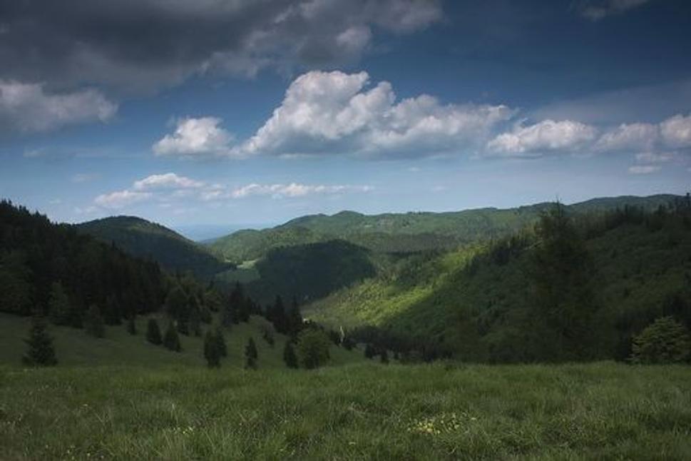 Obrázok blogu