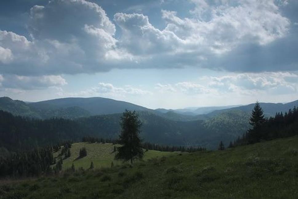 Obrázok blogu