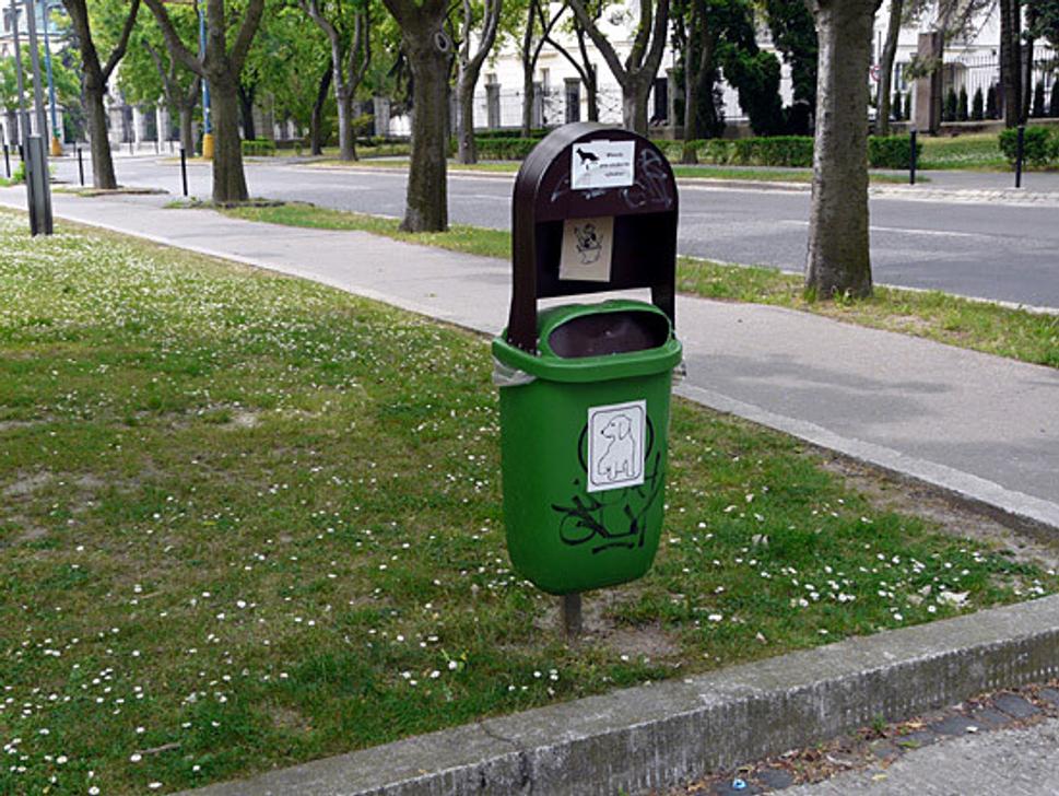 Obrázok blogu