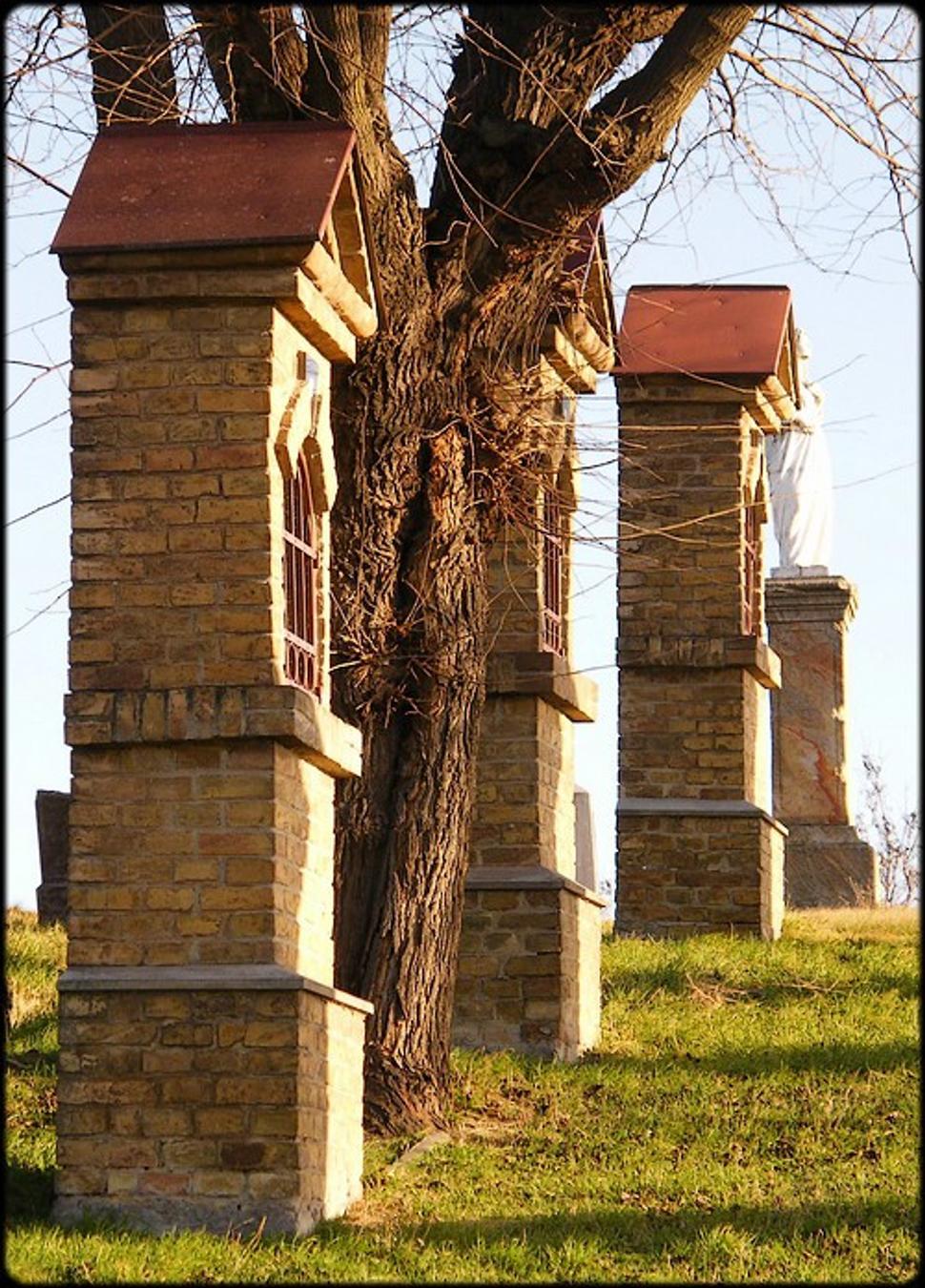 Obrázok blogu