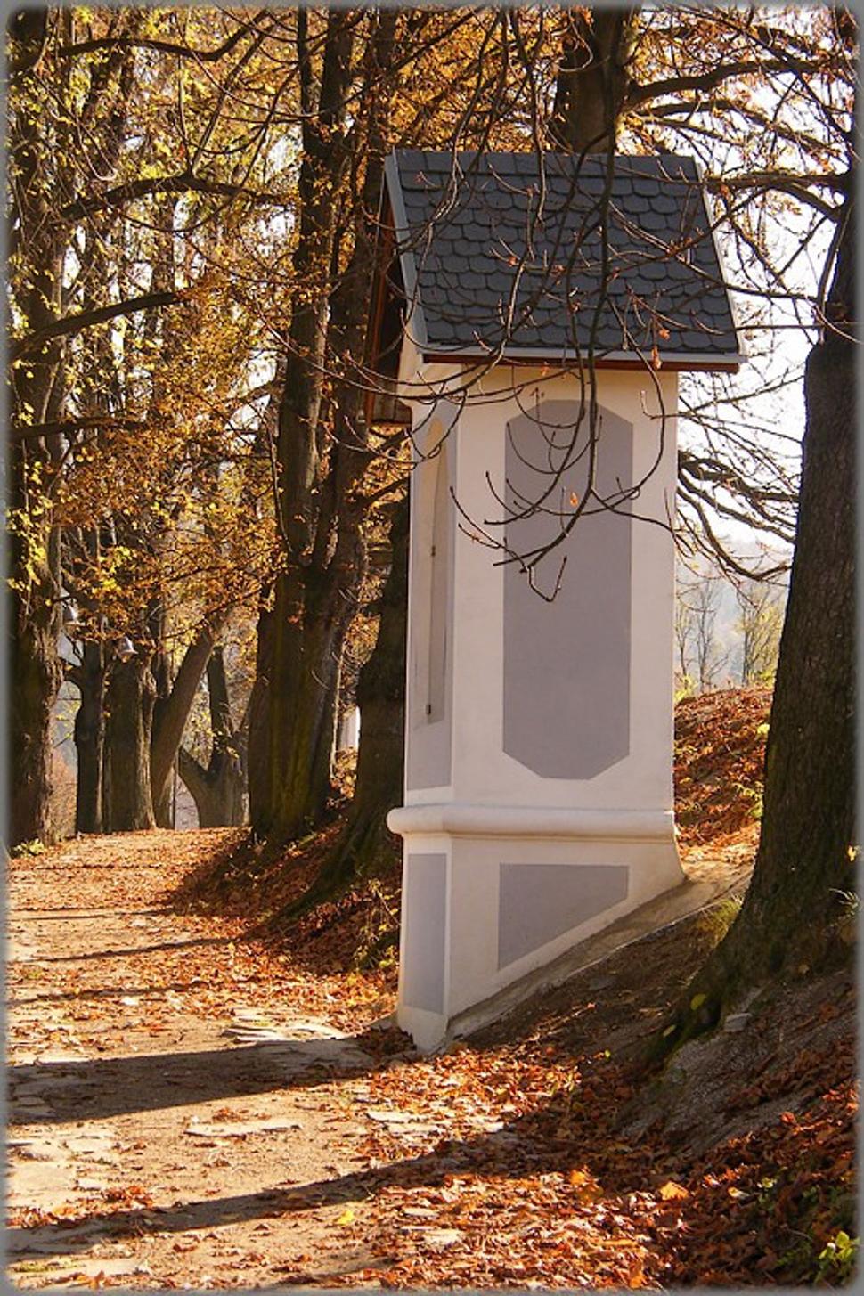 Obrázok blogu