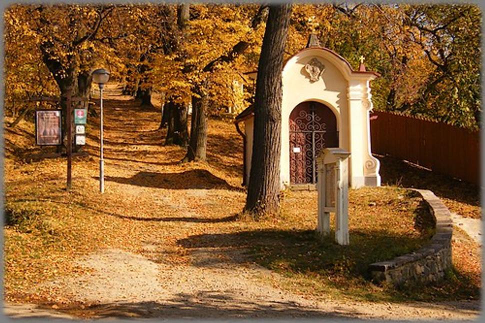 Obrázok blogu