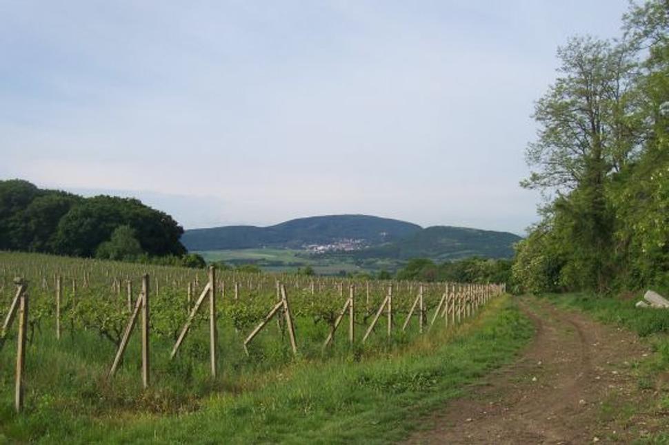 Obrázok blogu