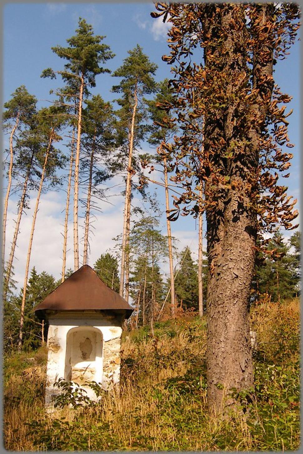 Obrázok blogu