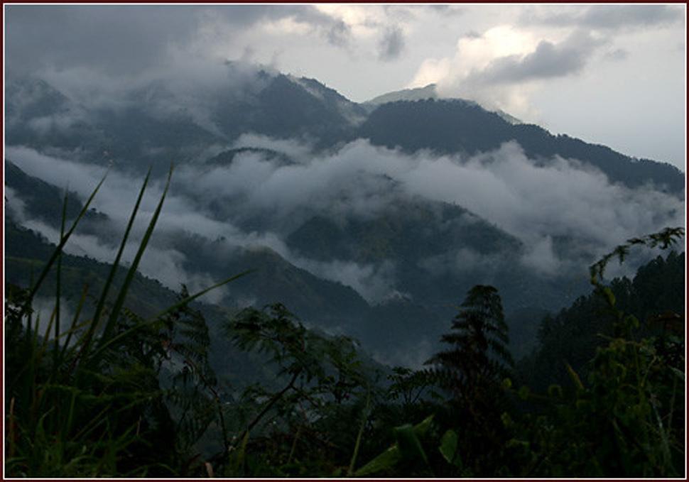 Blue Mountains