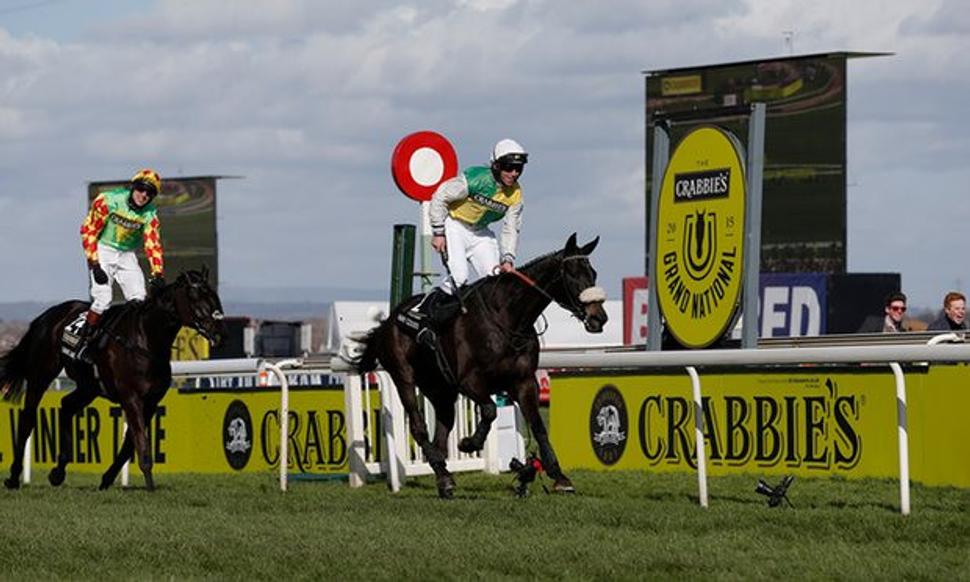 Many Clouds víťazí v Grand National 2015