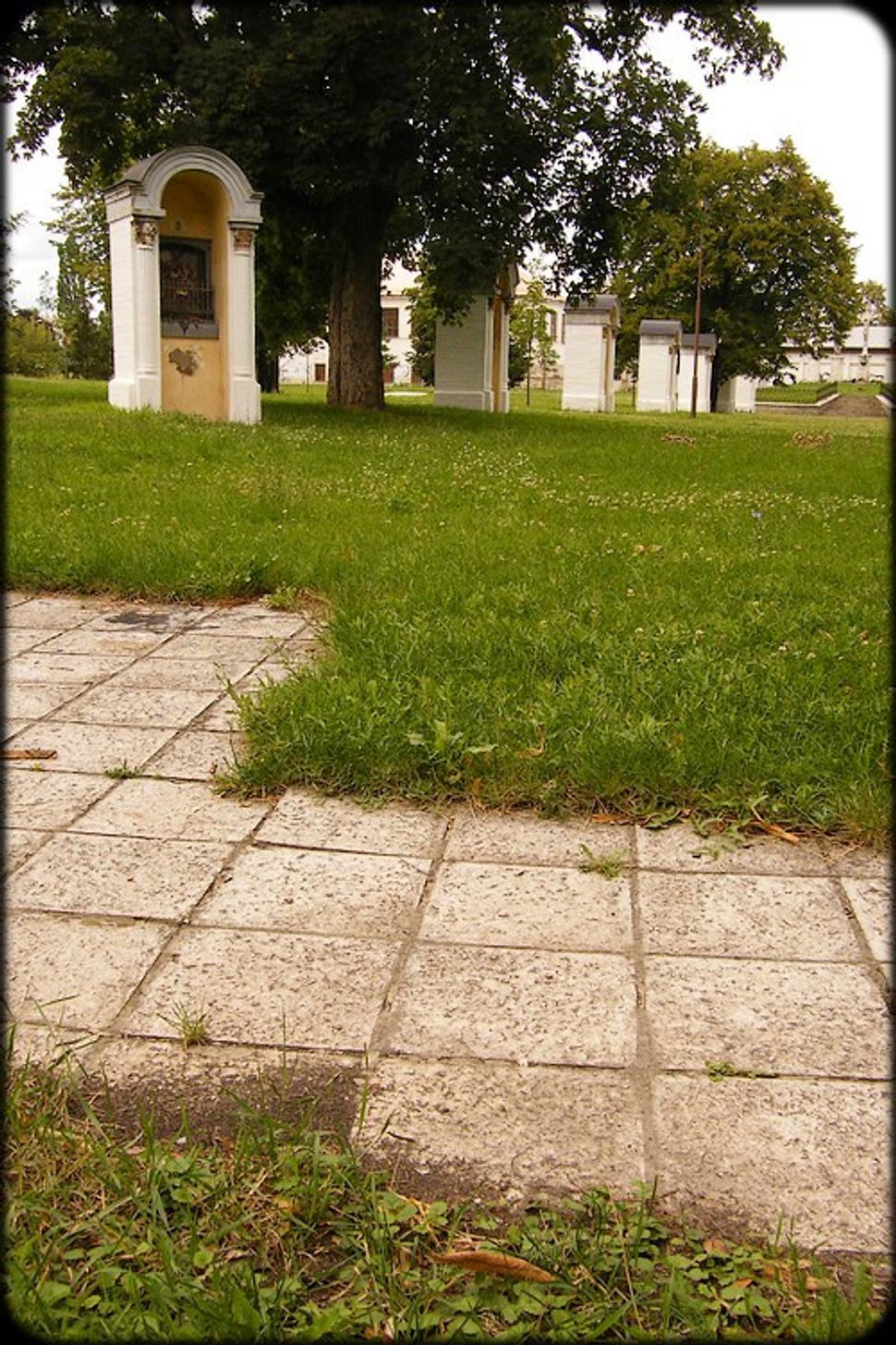 Obrázok blogu