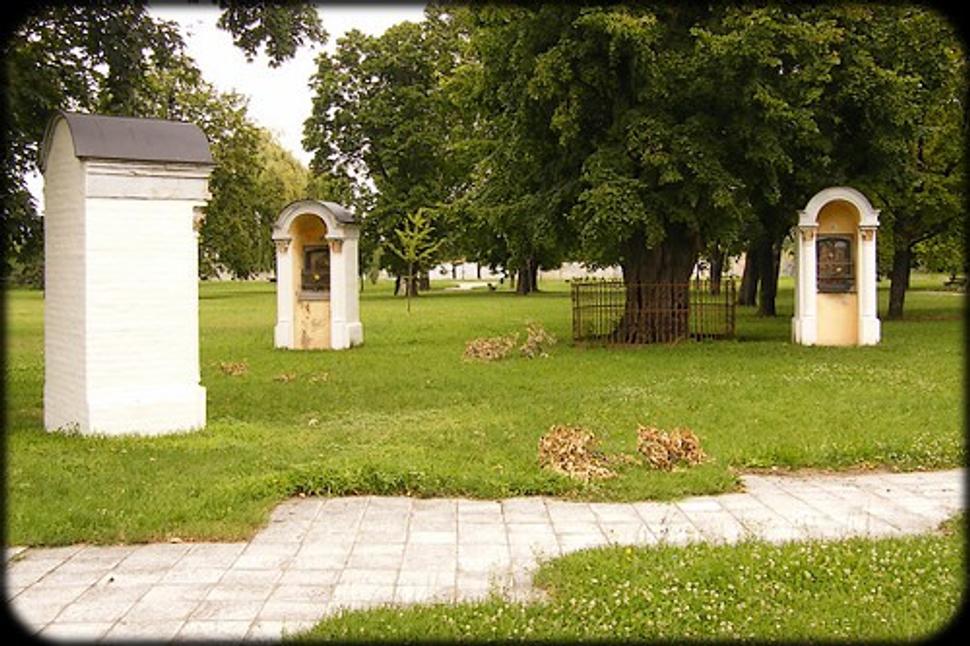 Obrázok blogu
