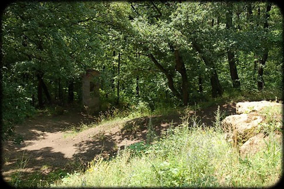 Obrázok blogu