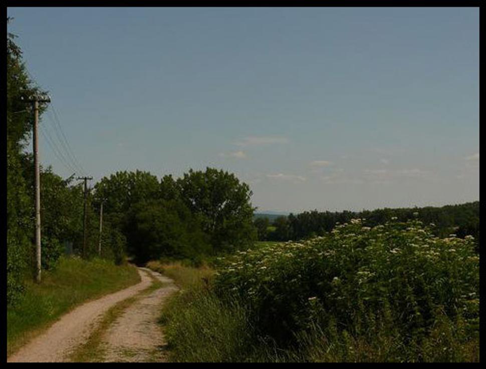 Obrázok blogu