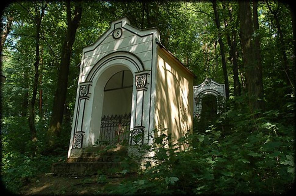 Obrázok blogu