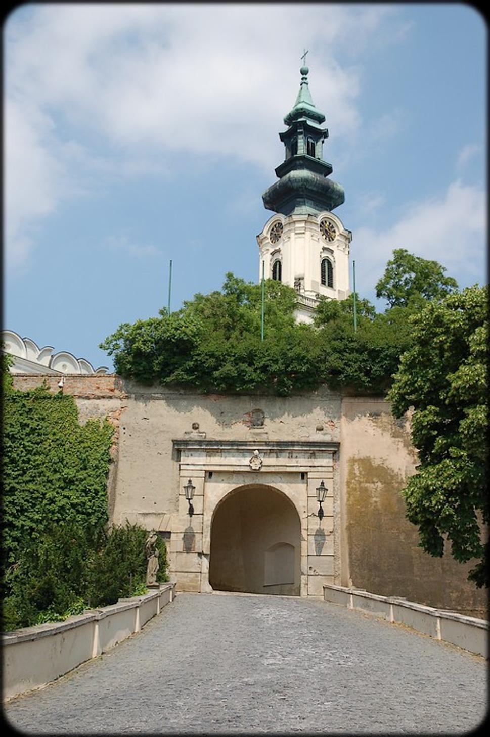 Obrázok blogu