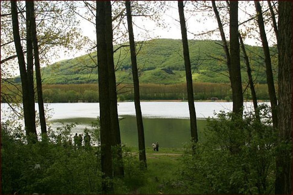 Obrázok blogu