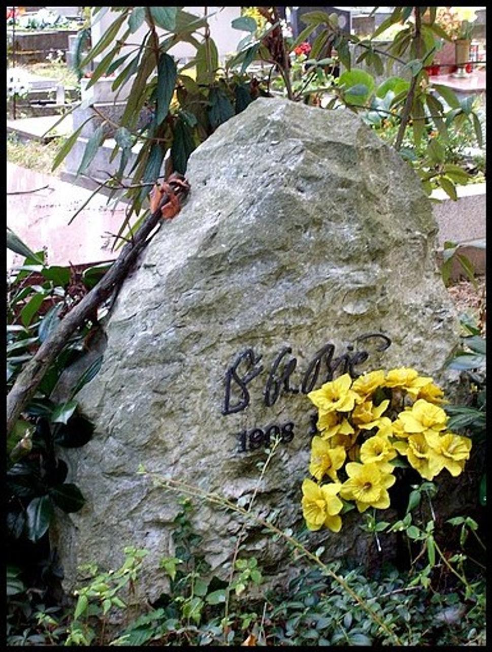 Obrázok blogu