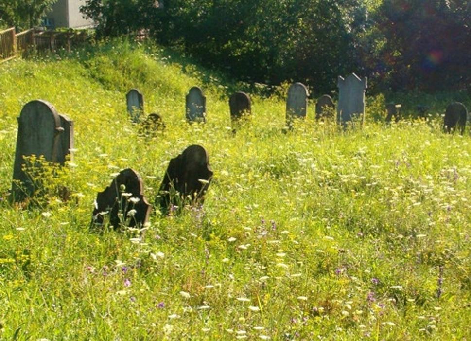 Židovský cintorín v Giraltovciach v lete 2005