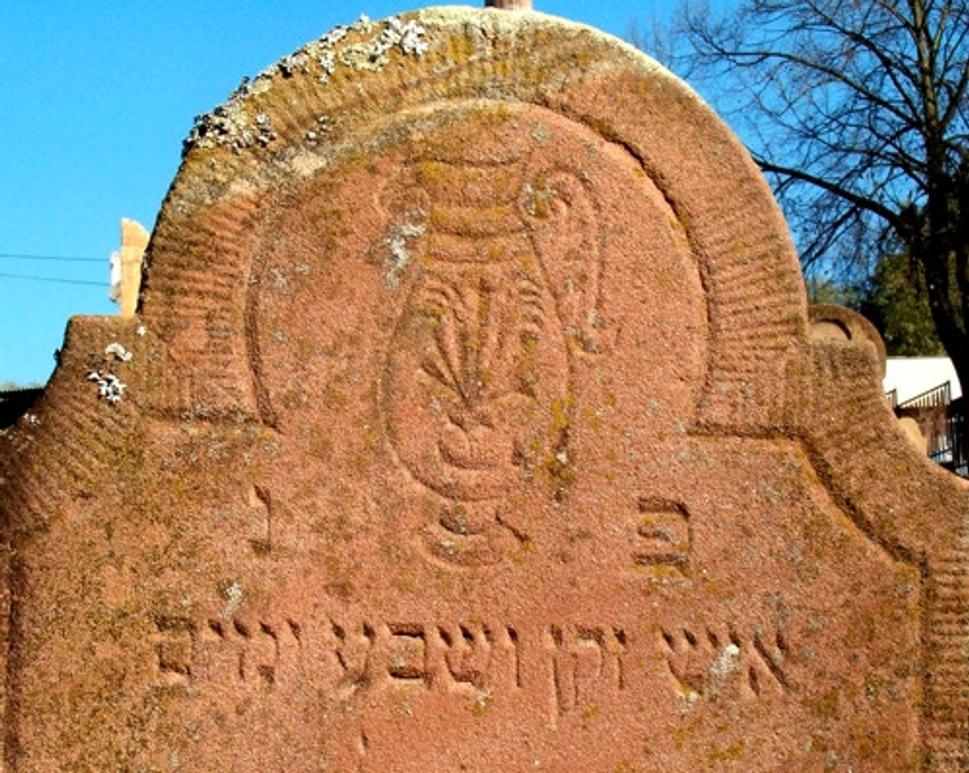 Váza - symbol levitov