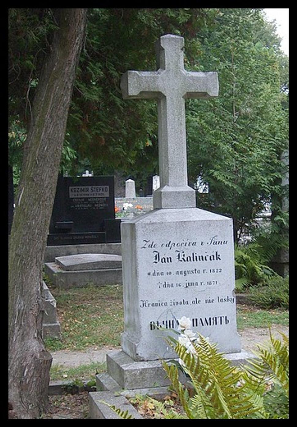 Obrázok blogu