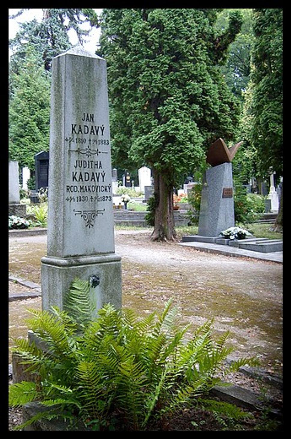 Obrázok blogu