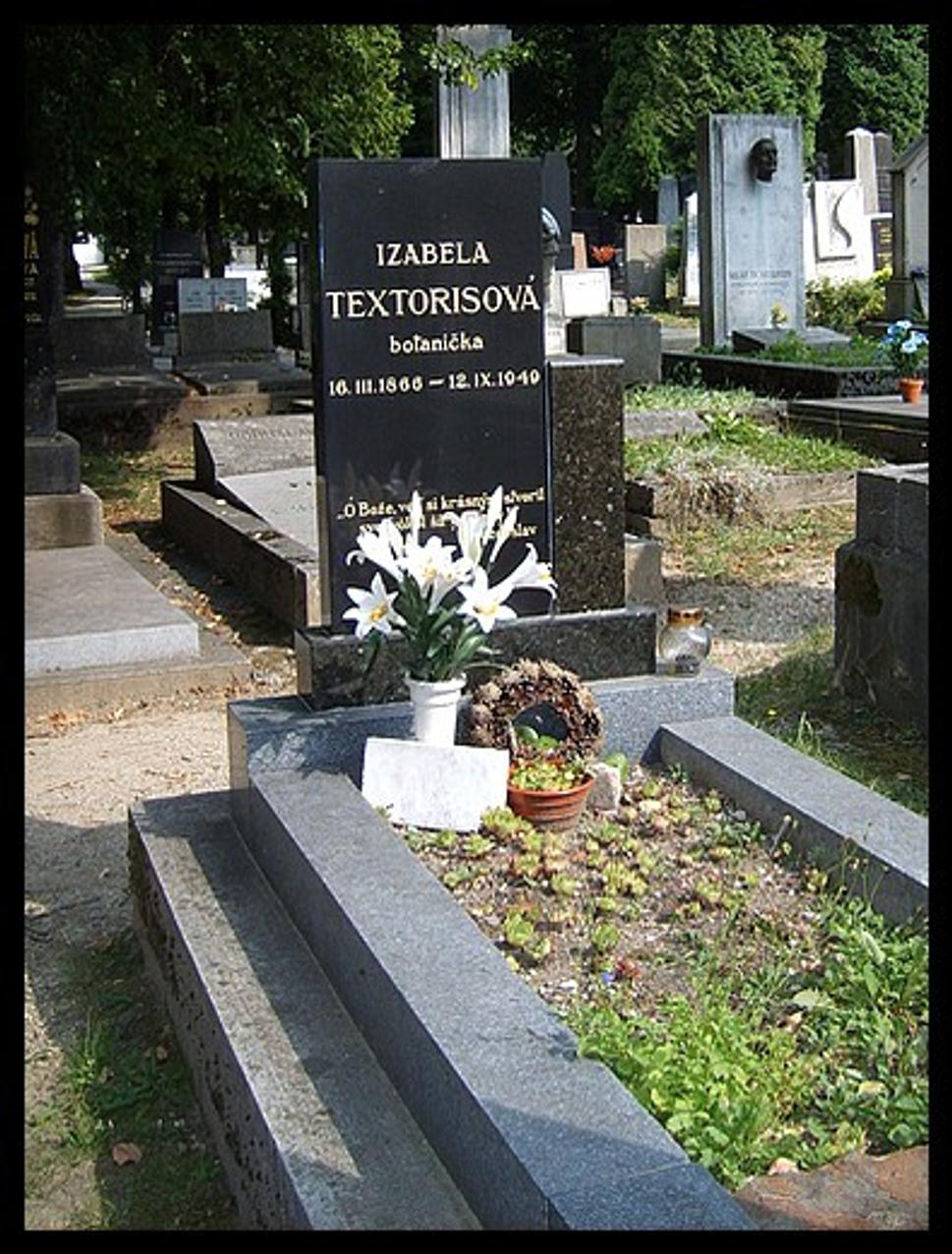 Obrázok blogu