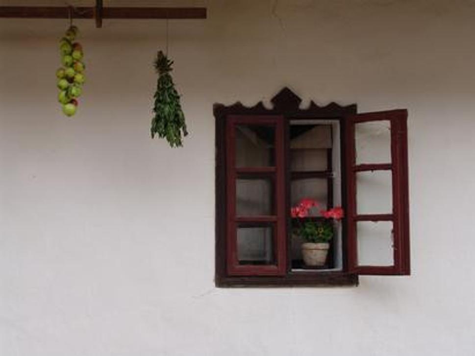 Obrázok blogu