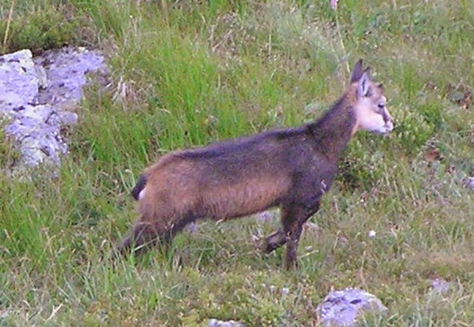 Obrázok blogu