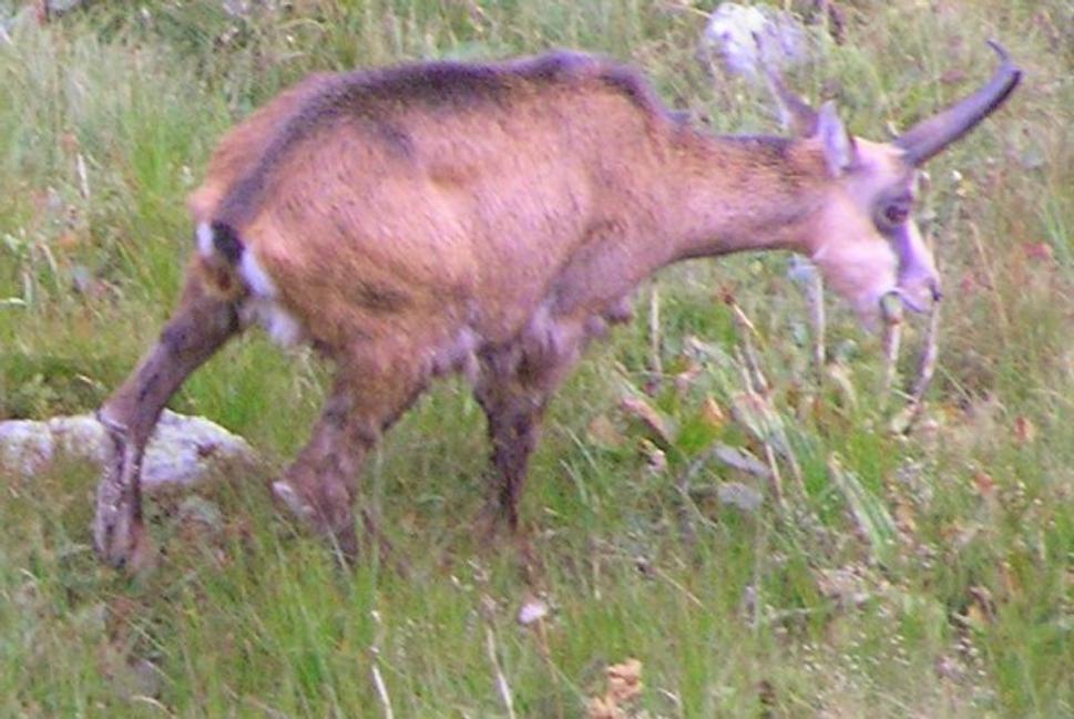 Obrázok blogu