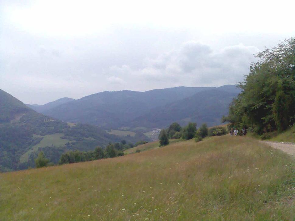Vzadu Kojšov