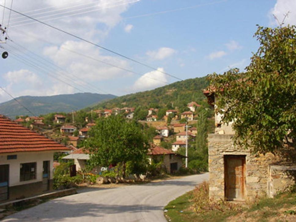 Dedinka pri Lesnove