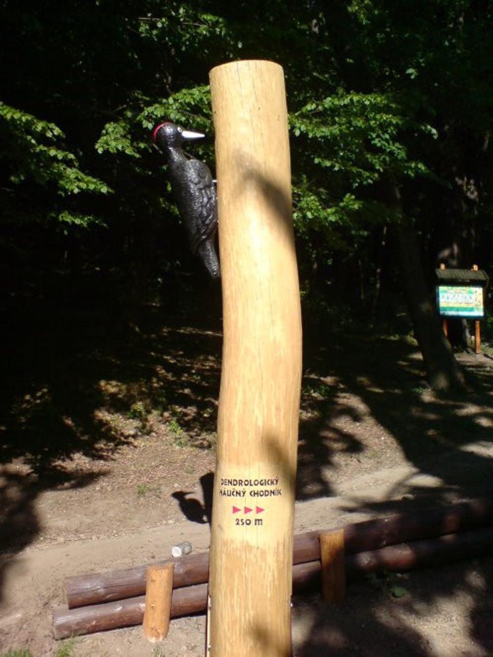 Obrázok blogu