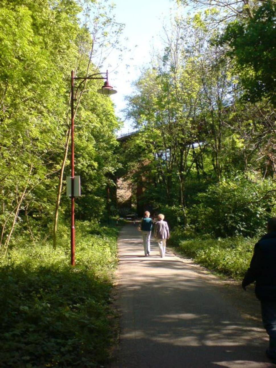 Obrázok blogu