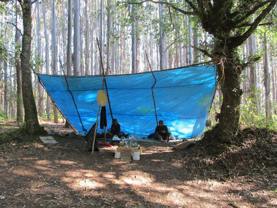 putnici pod pristreškom