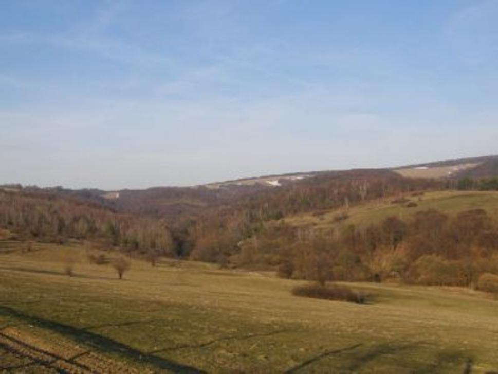 Obrázok blogu