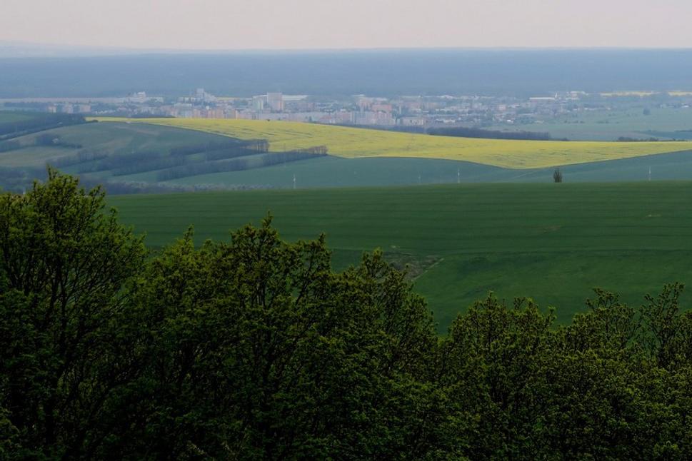Na obzore Senica, vľavo od nej vidno celé Malé Karpaty stratené v opare, zatáčam smerom k Vrbovciam.