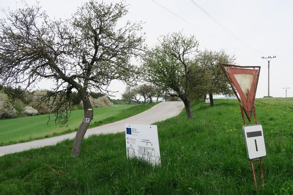 Trápili ma kartičkami s vybranými slovami podľa nejakej pedagogickej vedy, ale otec sa svojho času učil vybrané slová takto: "my sa mýlime keď si myslíme, že na Myjave sa šmýkajú myši na mydle"