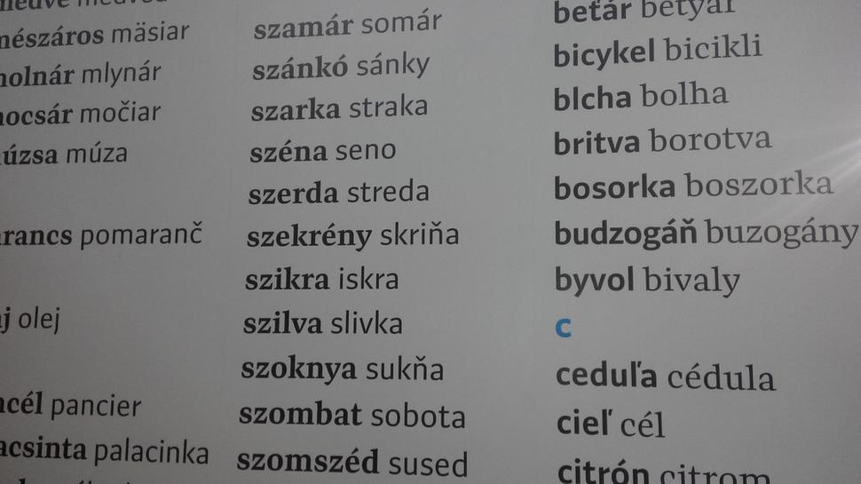 Úryvok zo slovenského stánku