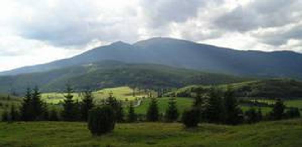 Kraľova hoľa