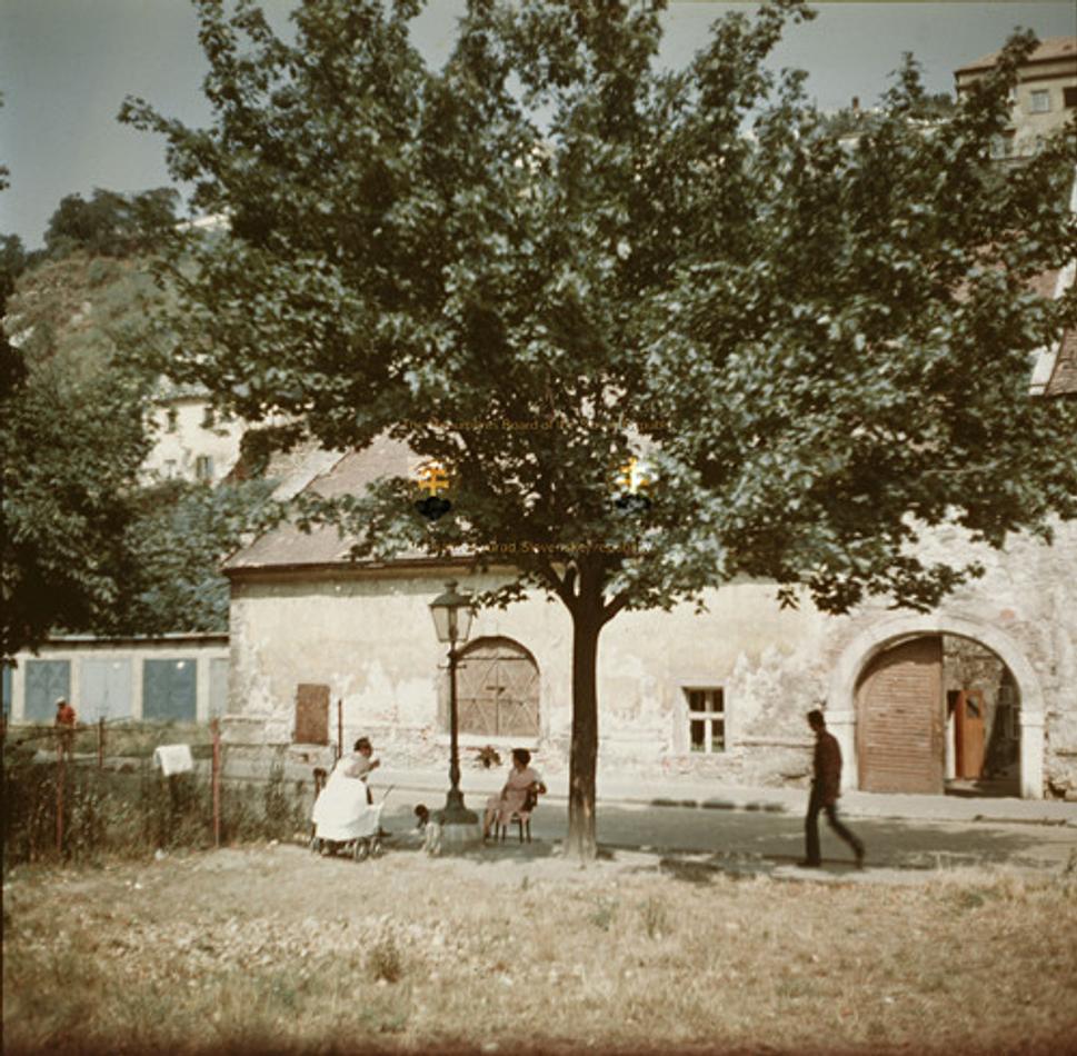 Obrázok blogu