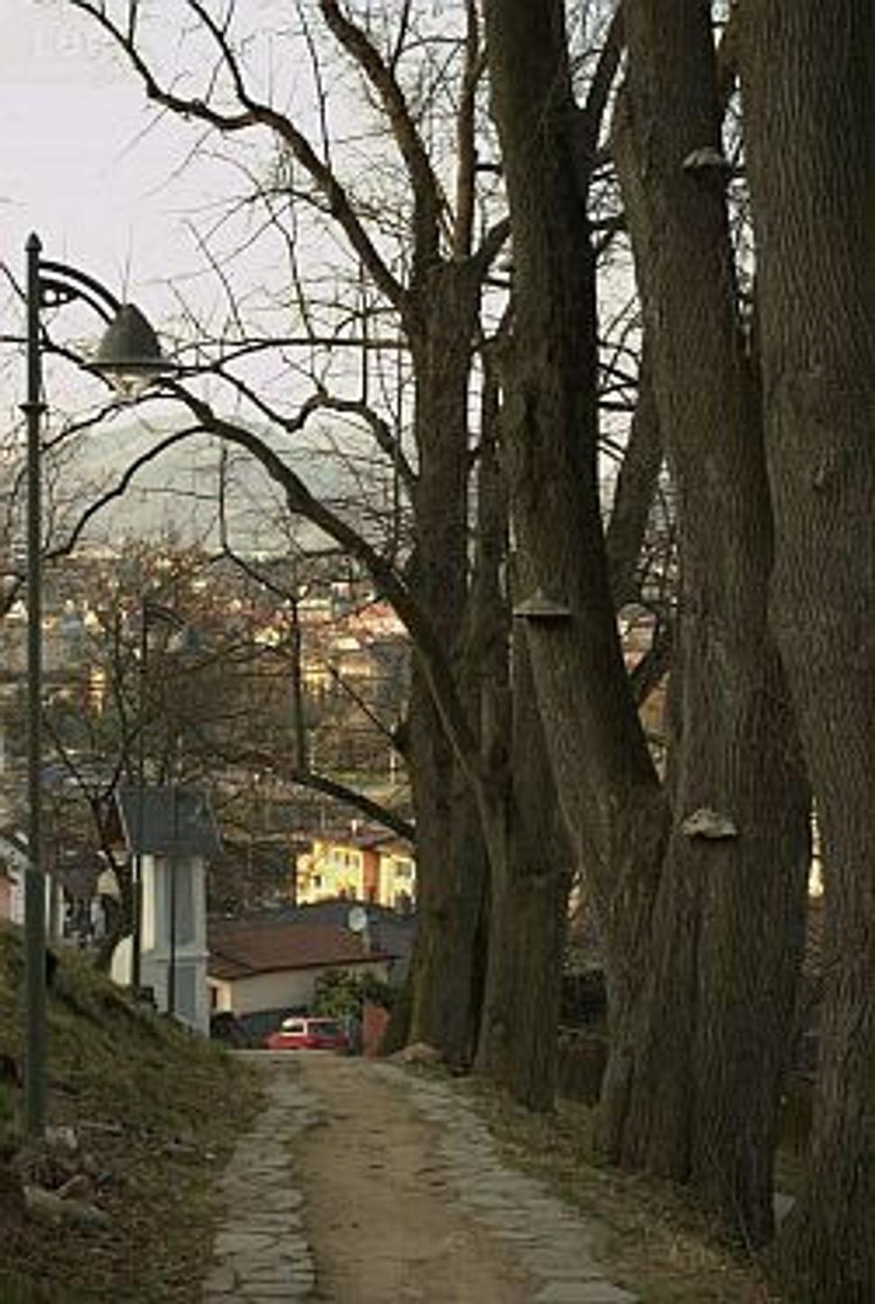 Výstup na kalváriu v Banskej Bystrici