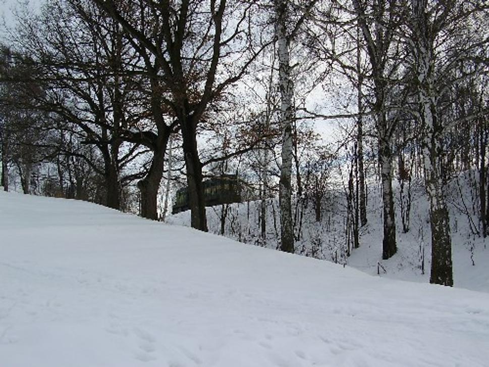 Obrázok blogu