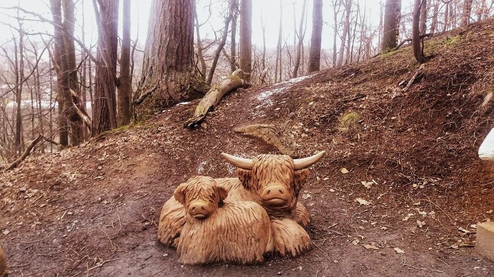 Highland cow som si naživo neodfotila, tak nás aspoň takto sprevádzali počas cesty na vrchol