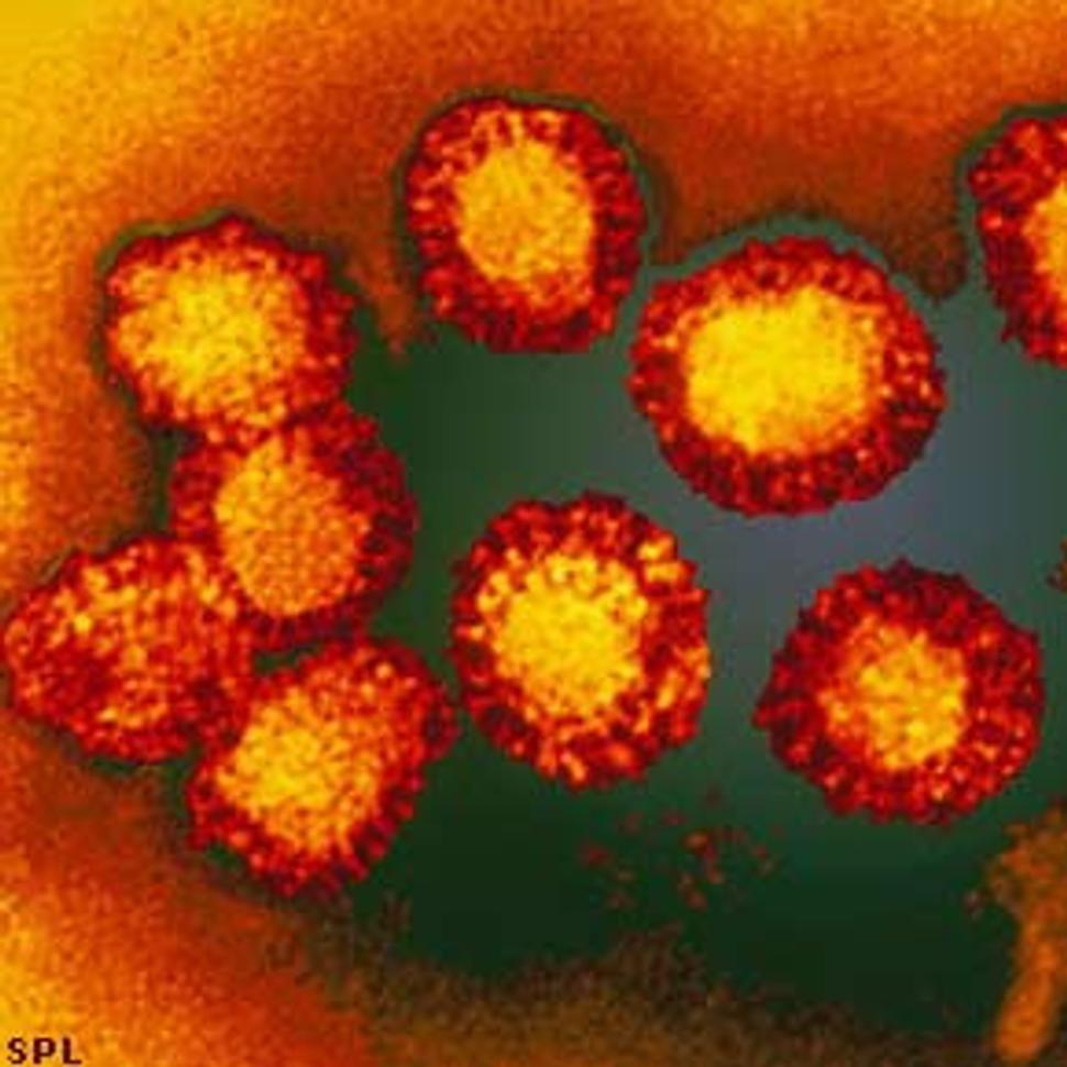 West Nile Virus