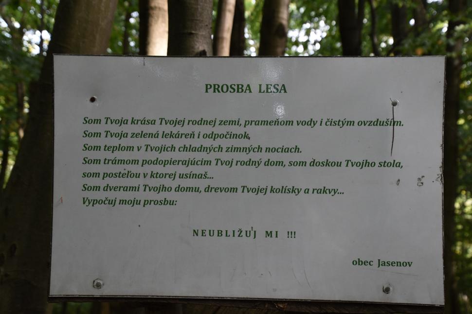 Prosba lesa