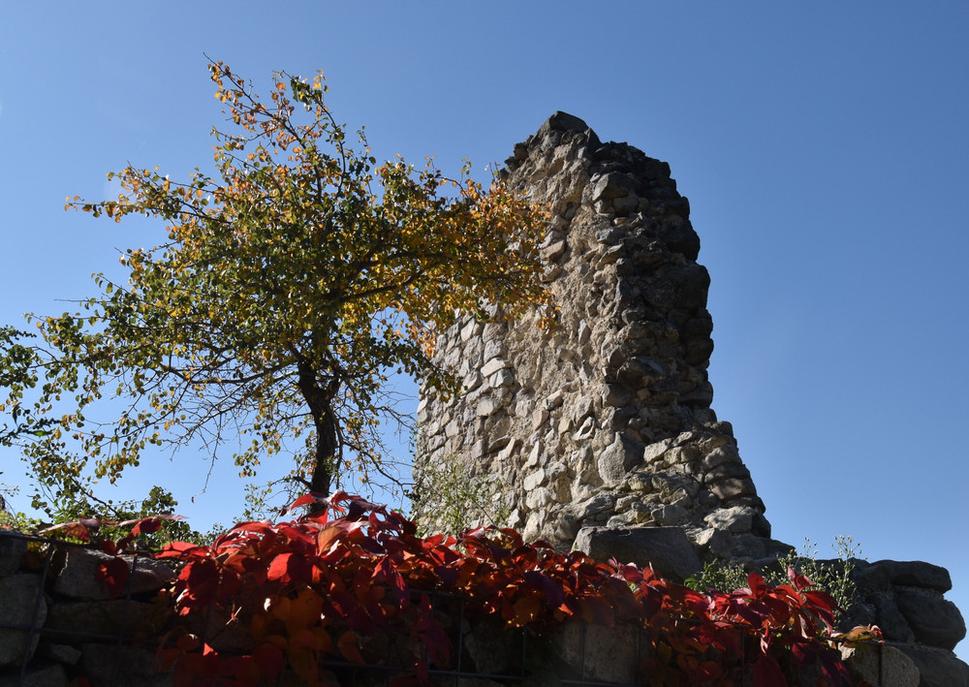 hrad vyzdobený divým viničom