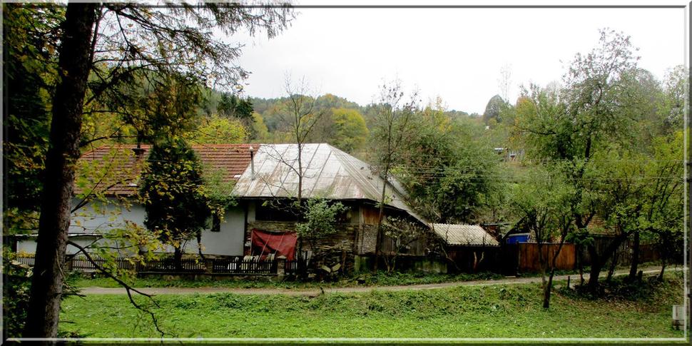Obrázok blogu