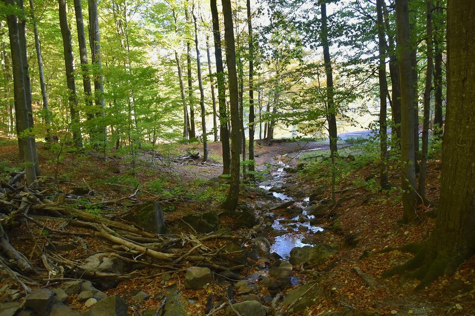 Morské oko - prítok